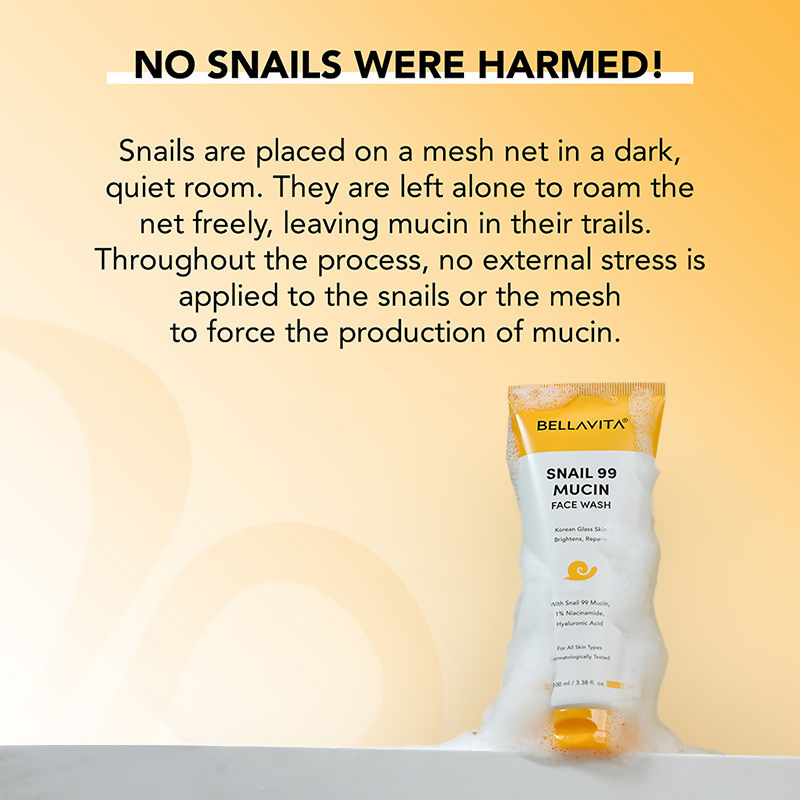 8319bd38906161171554_4