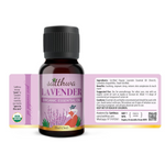 Thumbnail for download - 2024-10-05T182646.757