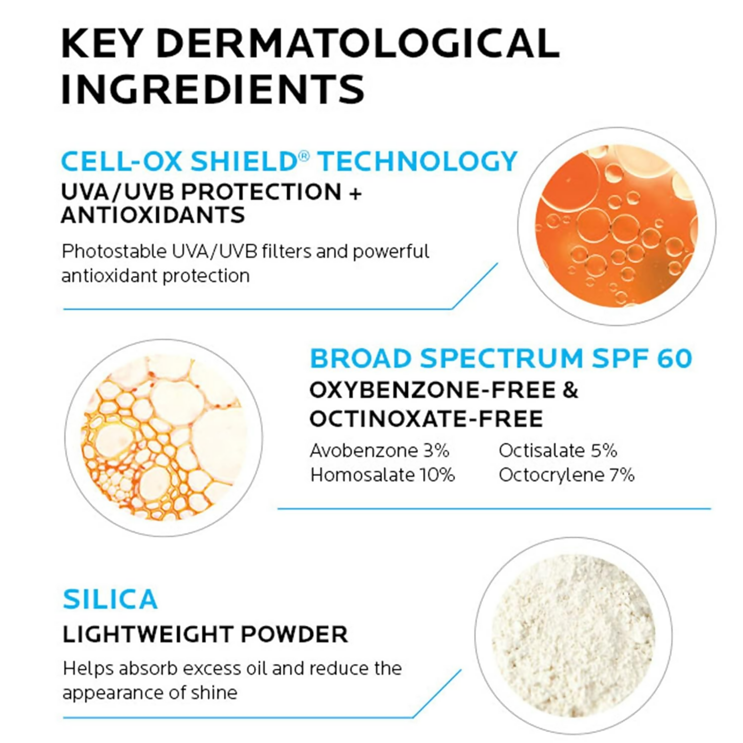 download - 2025-04-08T115441.044