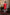 Falling Raw Silk Red Padma Gopala By Hilo Design