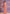 Vegaa Fashion Light Peach Grey Soft Georgette Sequence Work Saree