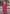 Vegaa Fashion Pink Chinon Silk Embroidered Designer Palazzo Suit