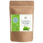 Thumbnail for 71BvNPtQ1OL