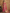 Vastranavya Pink Soft Paithani Silk Saree With Gold Zari Weaving Motifs With Matching Blouse Fabric - Distacart