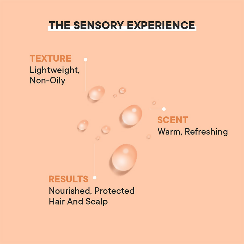 download - 2025-03-24T152051.852