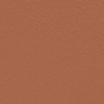 Thumbnail for download (50)