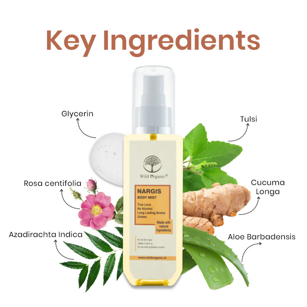 download - 2024-10-25T164342.814