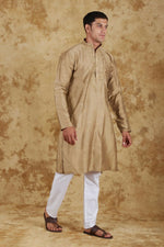 Thumbnail for Bluesaanchi Men's Handloom Embroidered Ecru Kurta Set - Distacart