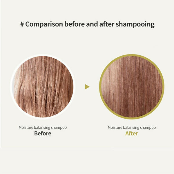 38885518809500817581_6