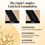 Thumbnail for download - 2024-11-19T181118.428