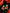 flower_275
