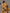 Yellow Kalamkari Hand Painted Woolen Handloom Stole with Floral Design - Global Threads - Distacart