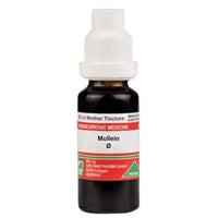 Thumbnail for Adel Homeopathy Mullein Mother Tincture Q