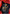flower_276