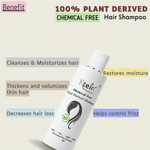 Thumbnail for Ktein Natural Chemical Free Plant Derived Shampoo - Distacart