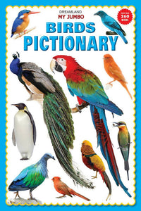 Thumbnail for Dreamland My Jumbo Birds Pictionary - Distacart