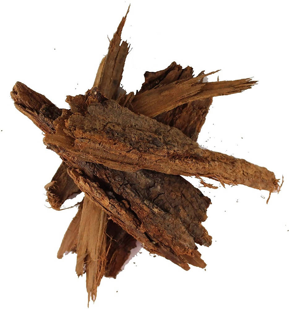 Dark Forest Babool Powder - Distacart