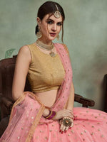 Thumbnail for Myra Baby Pink Soft Net Heavy Embroidered Lehenga - Distacart