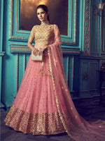Thumbnail for Myra Pink Heavy Embroidered Net Lehenga - Distacart