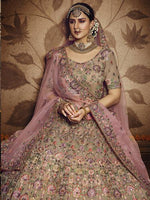 Thumbnail for Myra Light Brown Heavy Embroidered Georgette Lehenga - Distacart