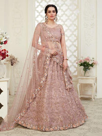 Thumbnail for Myra Beautiful Dusty Pink Heavy Embroidered Net Lehenga