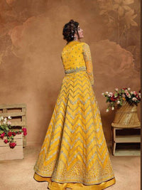 Thumbnail for Myra Mustard Yellow Butterfly Net Embroidered Anarkali