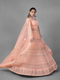 Thumbnail for Beautiful Peach Heavy Soft Net Bridal Lehenga