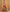 Orange Silk Woven Design Saree With Unstitched Blouse Piece - Akshita - Distacart