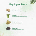 Thumbnail for Dr. Vaidya's Herbobuild DS (Double Strength) Tablets - Distacart