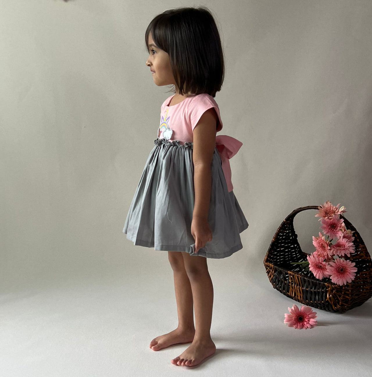 ArthLife Peach And Grey Unicorn Embroidered Dress - Distacart