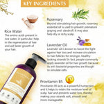 Thumbnail for Glamveda Daily Shine Conditioner Rice Water & Fenugreek