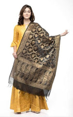 Thumbnail for A R Silk Women's Chanderi Zari Embroidery Black Fancy Dupatta