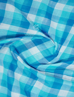 Thumbnail for Sky Blue With Checks Pure Mangalgiri Cotton Saree By Gayathri Reddy Designer Studio - Distacart