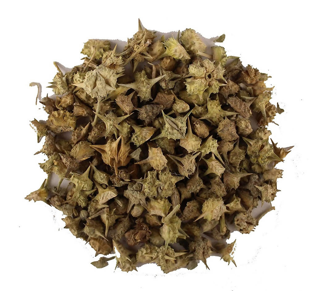 Dark Forest Gokhru Powder - 200g  Dark Forest Punarnava Powder - 200g  Dark Forest Kaucha Powder - 200g