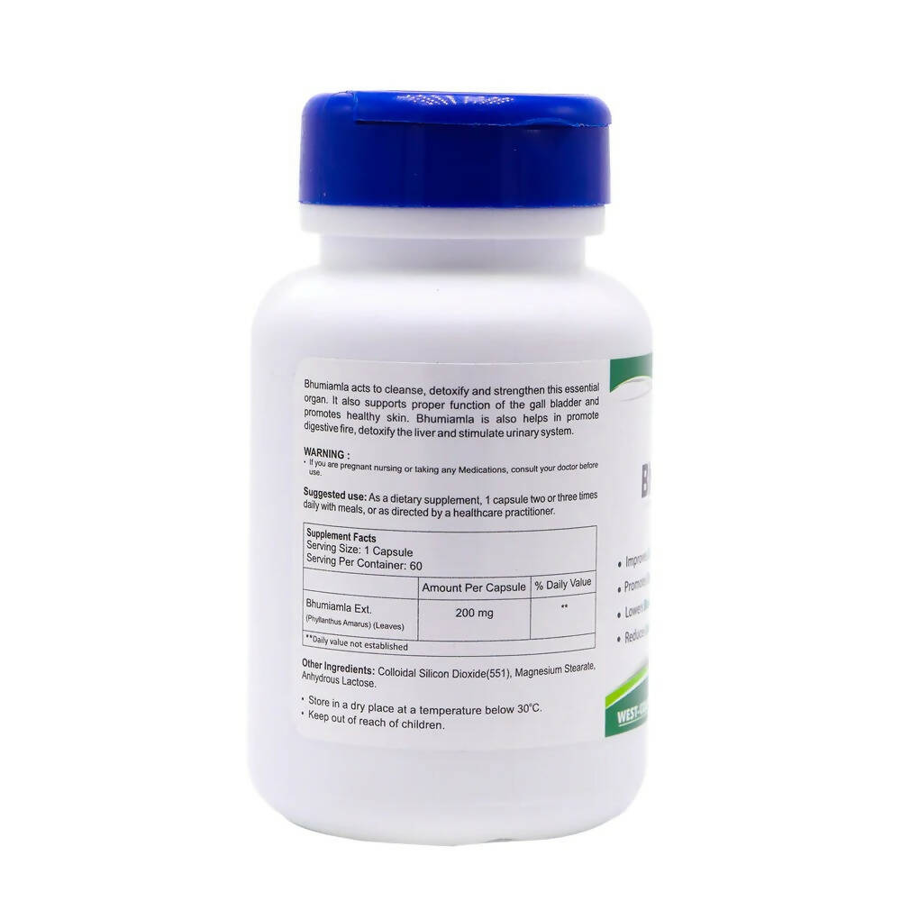 Healthvit Bhumiamla Capsules - Distacart