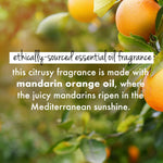 Thumbnail for Love Beauty And Planet Curry Leaves, Biotin & Mandarin Paraben Free Conditioner - Distacart