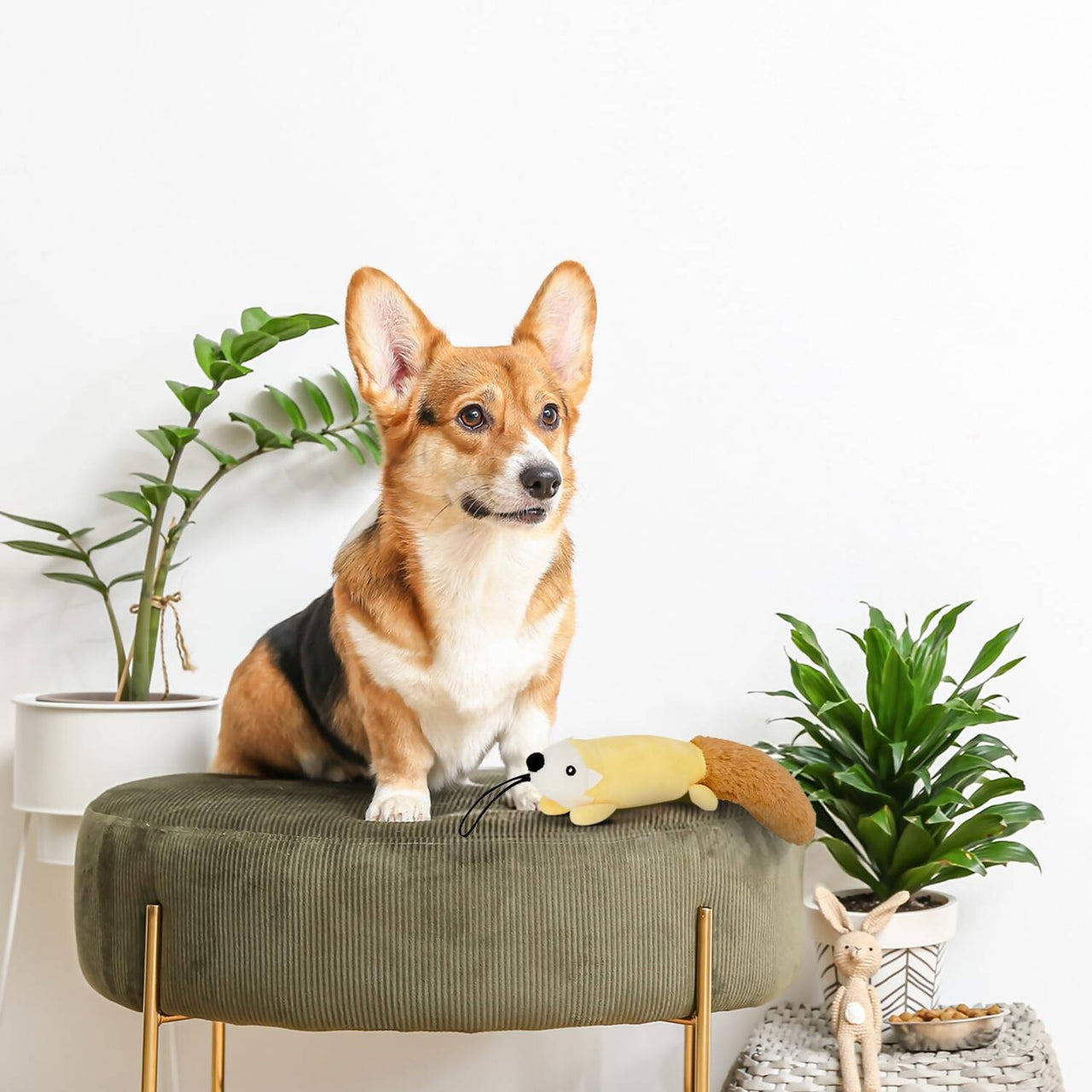 Soft Plush Toy for Pets - Distacart
