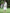 Juniper Women Ivory Rayon Festive Embroidered Flared Kurta - Distacart
