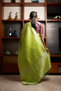 Thumbnail for Vardha Chartreuse Green Silver Zari Kanjeevaram Silk Saree