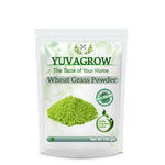Thumbnail for Yuvagrow Wheat Grass Powder - Distacart