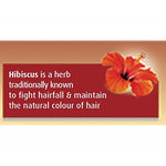 Thumbnail for Dabur Vatika Enriched Coconut Hair Oil with Hibiscus