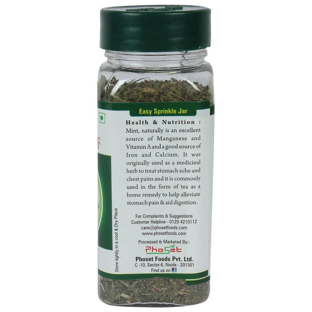 Urban Flavorz Mint Leaf