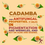 Thumbnail for Ningen Cadamba Cleansing Milk Cream - Distacart