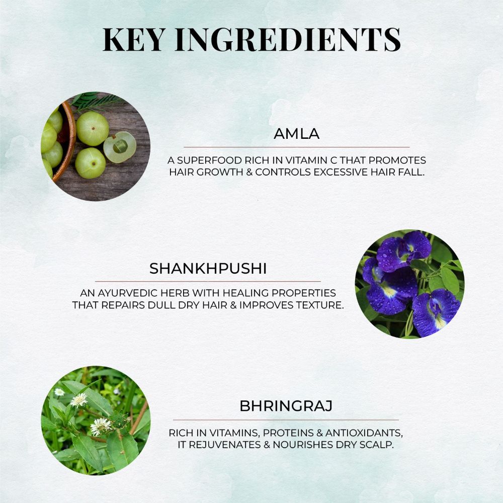 Just Herbs Moisturising Hair Mask with Amla and Shankhpushpi - Distacart