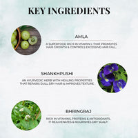 Thumbnail for Just Herbs Moisturising Hair Mask with Amla and Shankhpushpi - Distacart