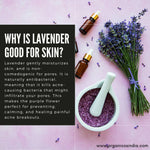 Thumbnail for Organicos Lavender Face Cleanser - Distacart