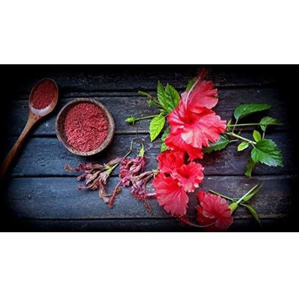 Mesmara Herbal Hibiscus Powder 75g - Distacart