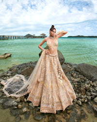 Thumbnail for House of Panchhi Cream Net Sequins, Zarkan And Thread Embroidery Lehenga Choli & Dupatta - Distacart