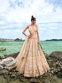 Thumbnail for House of Panchhi Cream Net Sequins, Zarkan And Thread Embroidery Lehenga Choli & Dupatta - Distacart