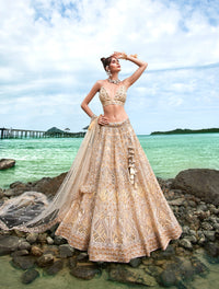 Thumbnail for House of Panchhi Cream Net Sequins, Zarkan And Thread Embroidery Lehenga Choli & Dupatta - Distacart